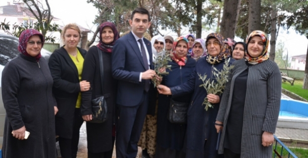 AK Partili kadınlar 'Zeytin Dalı' dağıttı