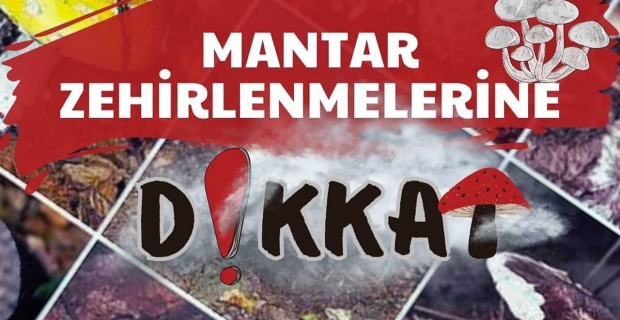 Mantar zehirlenmelerine dikkat !